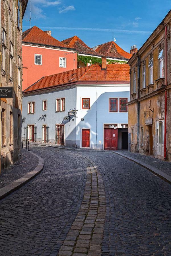Penzion Maxwilliam Зноймо Экстерьер фото